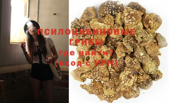 дурь Горняк